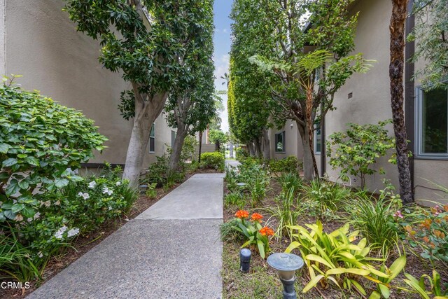 380 S Orange Grove Blvd Unit 6, Pasadena, CA 91105 - view of home's community