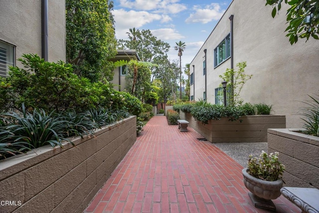 380 S Orange Grove Blvd Unit 6, Pasadena, CA 91105 - view of property's community featuring a patio