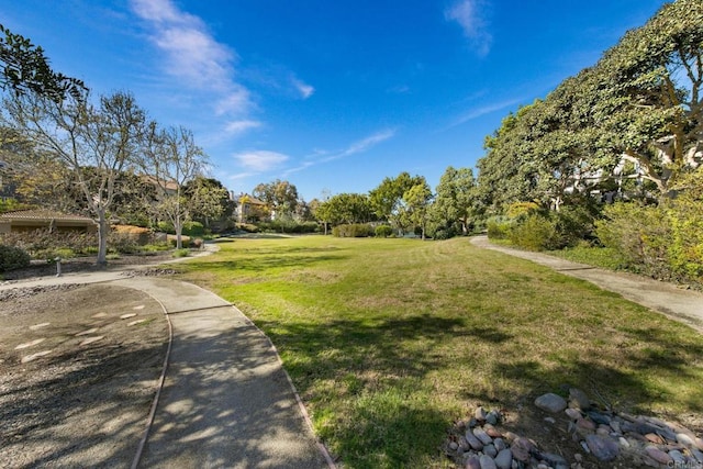 view of home's community with a yard