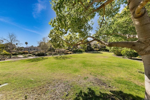 1164 Quail Gardens Ct, Encinitas, CA 92024 - view of grassy yard