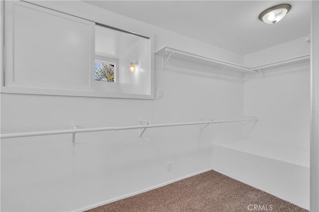 spacious closet with carpet flooring