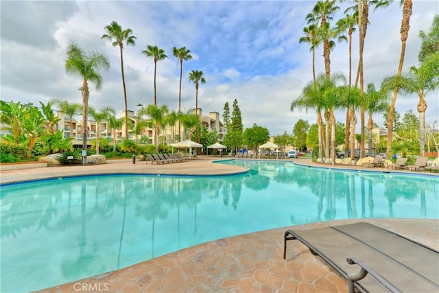pool featuring a patio area