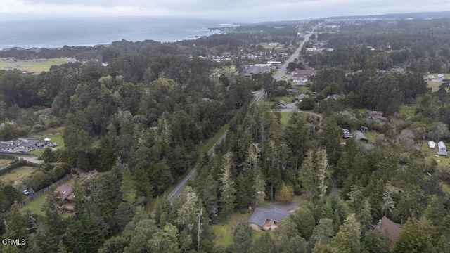 drone / aerial view with a view of trees