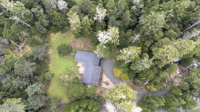 drone / aerial view featuring a view of trees