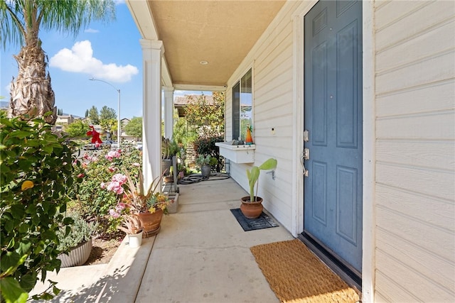 view of exterior entry featuring a porch