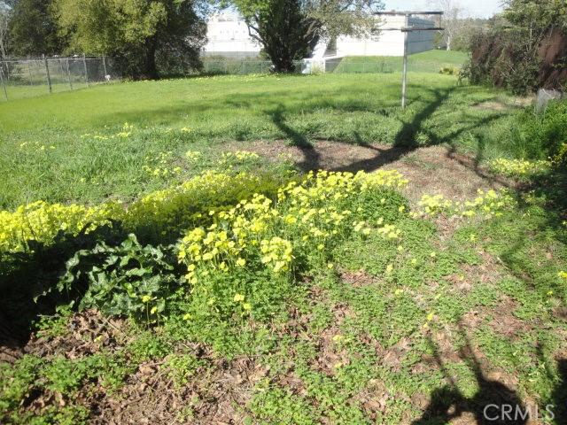 2480 Baldwin Ave, Oroville, CA 95966 - view of yard with fence
