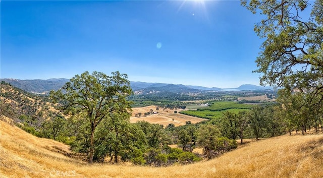 1280 State Highway 20, Upper Lake, CA 95485 - photo 53
