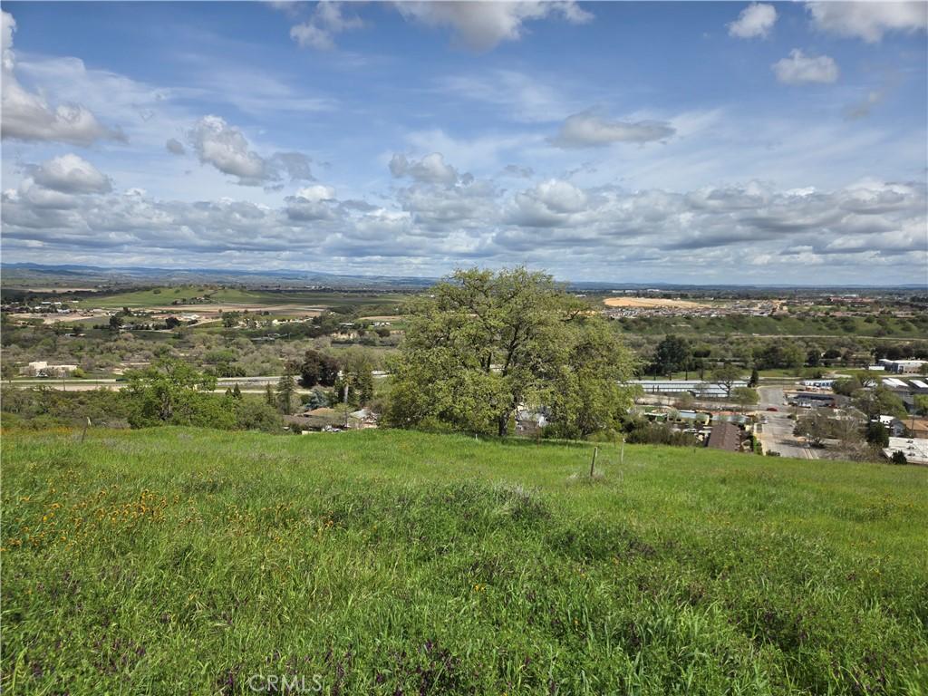 436 Calle Alto St, Paso Robles, CA 93446 - photo 3
