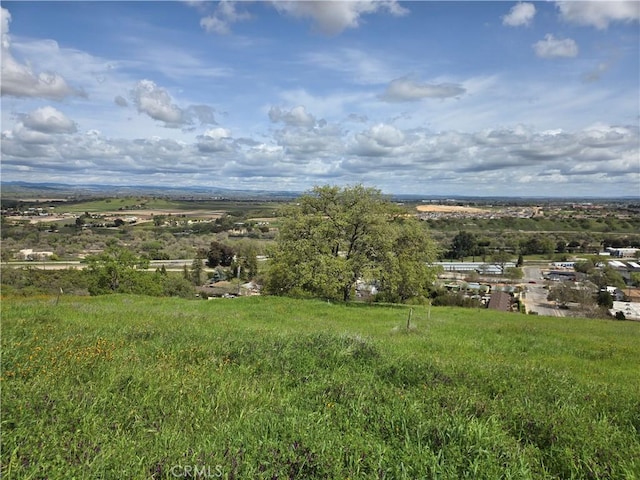436 Calle Alto St, Paso Robles, CA 93446 - photo 3