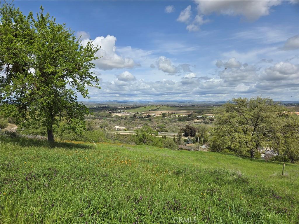 436 Calle Alto St, Paso Robles, CA 93446 - photo 1
