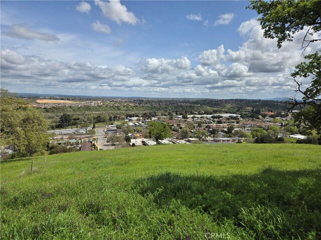 436 Calle Alto St, Paso Robles, CA 93446 - photo 4