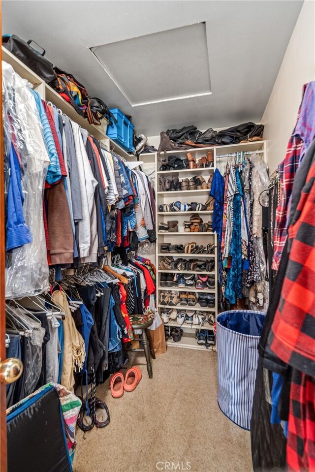 5420 Clayvale St, Acton, CA 93510 - walk in closet with attic access