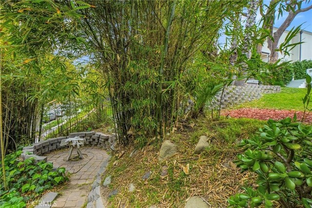 view of yard with a patio area