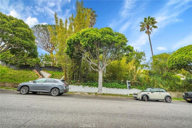 view of street with curbs