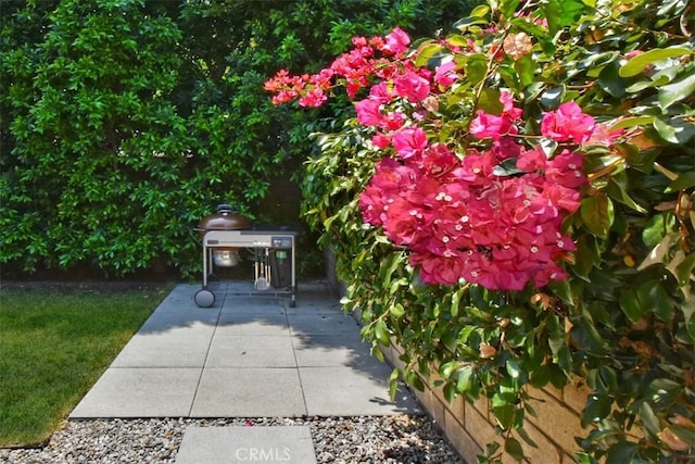 14608 Mccormick St, Sherman Oaks, CA 91411 - view of patio / terrace