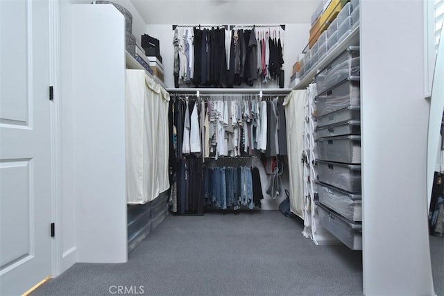 14608 Mccormick St, Sherman Oaks, CA 91411 - walk in closet featuring carpet floors
