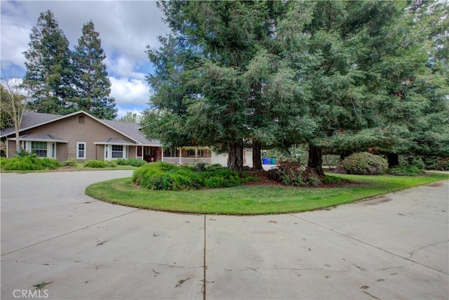 view of front of house featuring curved driveway and a front lawn