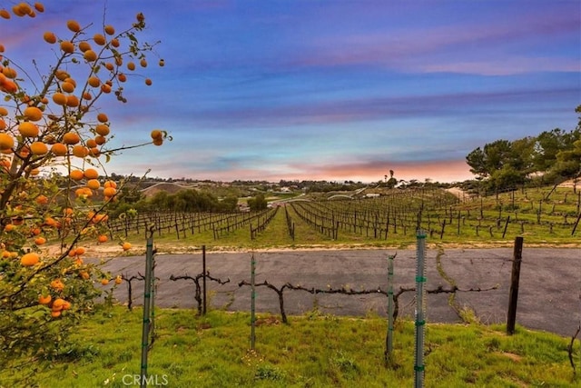 38330 De Portola Rd, Temecula, CA 92592 - photo 54