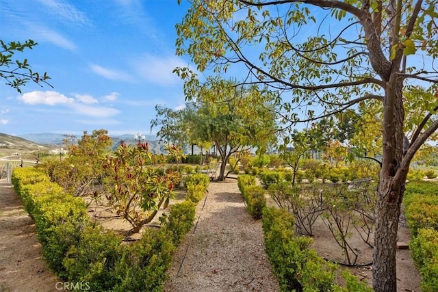 38330 De Portola Rd, Temecula, CA 92592 - photo 44