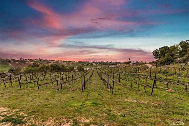 38330 De Portola Rd, Temecula, CA 92592 - photo 53