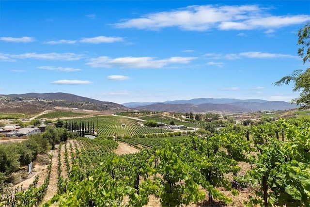 38330 De Portola Rd, Temecula, CA 92592 - photo 45