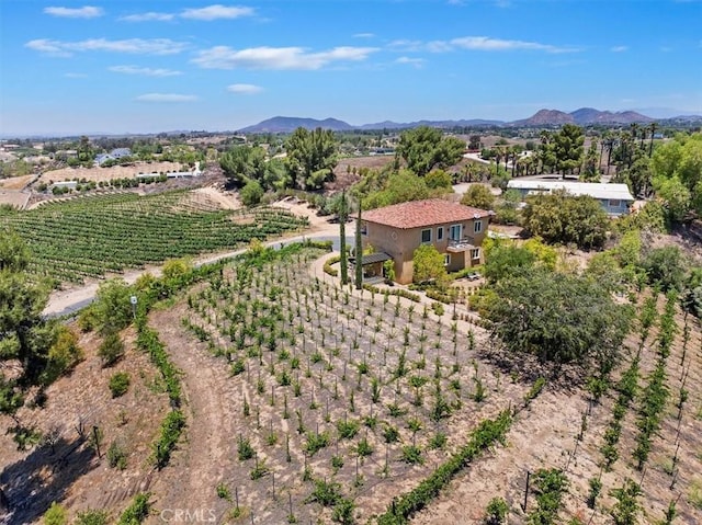 38330 De Portola Rd, Temecula, CA 92592 - photo 32