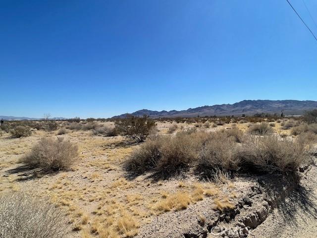 33255 Minneola Rd, Newberry Springs, CA 92365