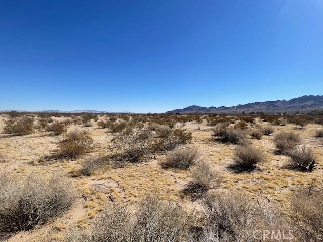 33255 Minneola Rd, Newberry Springs, CA 92365