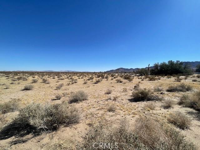 33255 Minneola Rd, Newberry Springs, CA 92365