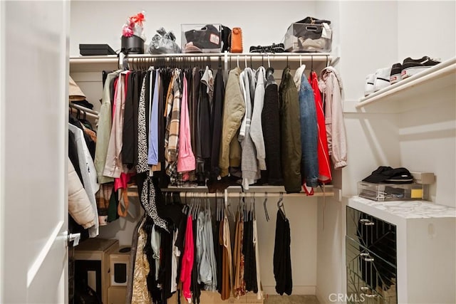 view of walk in closet