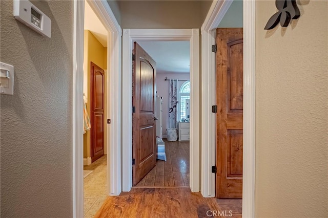 hall featuring wood finished floors and a textured wall
