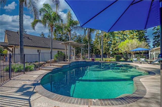 view of pool with fence, a patio area, and a fenced in pool