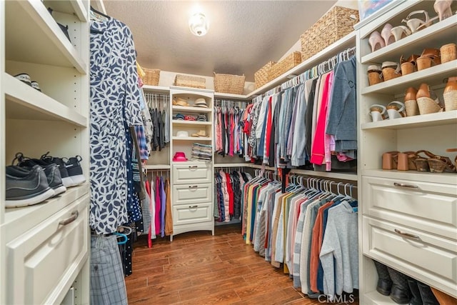 walk in closet featuring wood finished floors