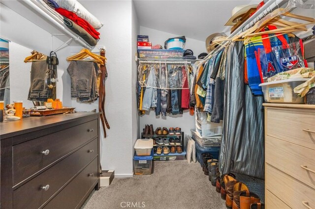 7160 Bel Air St, Corona, CA 92881 - walk in closet with carpet flooring and vaulted ceiling