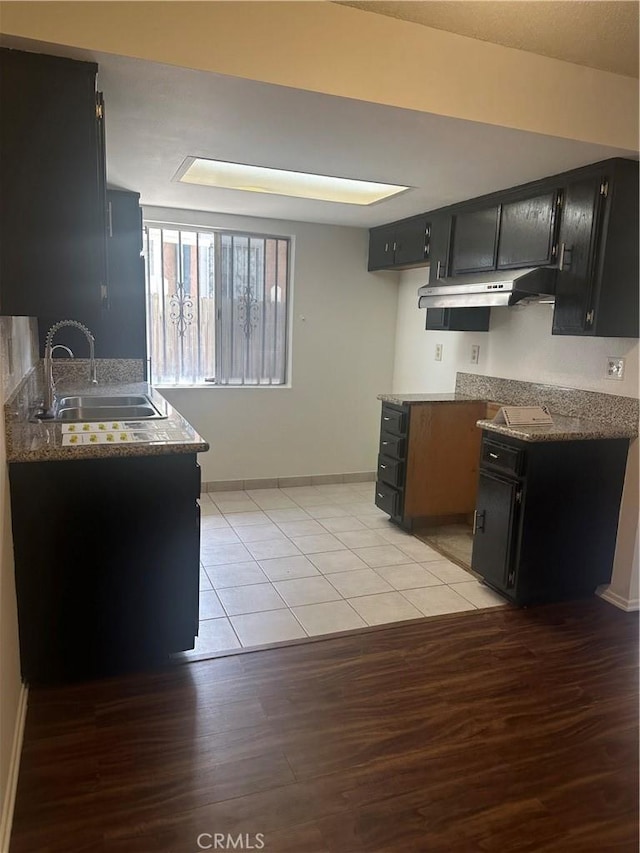 1524 Acacia St Unit 3, Alhambra, CA 91801 - kitchen with a sink, under cabinet range hood, dark cabinets, and light wood-type flooring