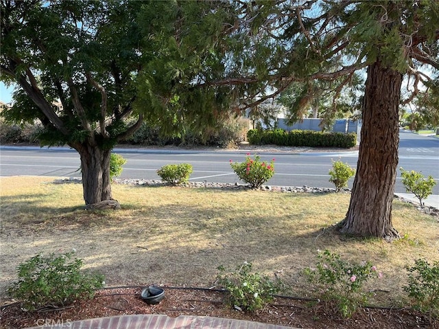 14000 Spring Vly, Victorville, CA 92395 - photo 20