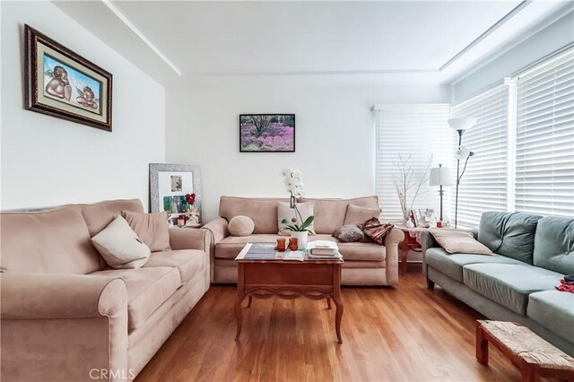 living room featuring light wood finished floors