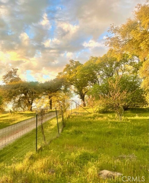 11363 Shadow Ln, Browns Valley, CA 95918 - photo 4