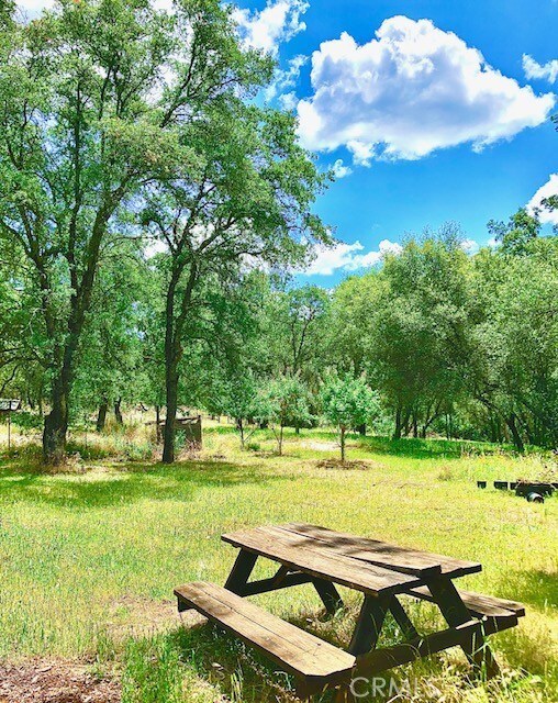 11363 Shadow Ln, Browns Valley, CA 95918 - photo 28