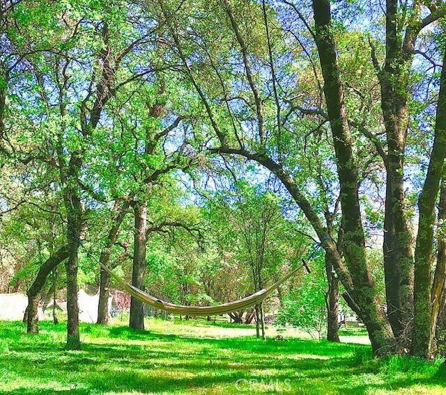 11363 Shadow Ln, Browns Valley, CA 95918 - photo 39