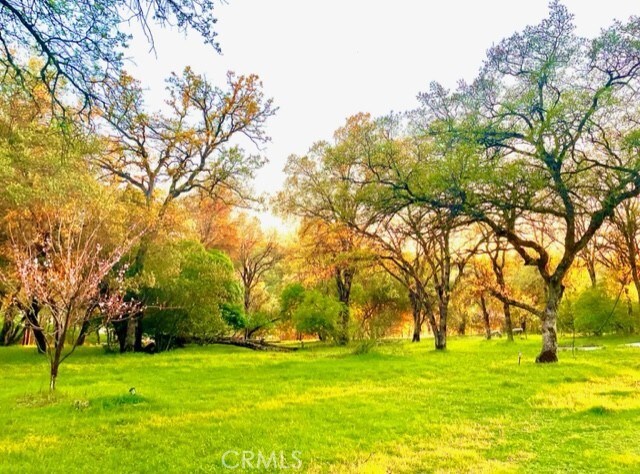 11363 Shadow Ln, Browns Valley, CA 95918 - photo 30