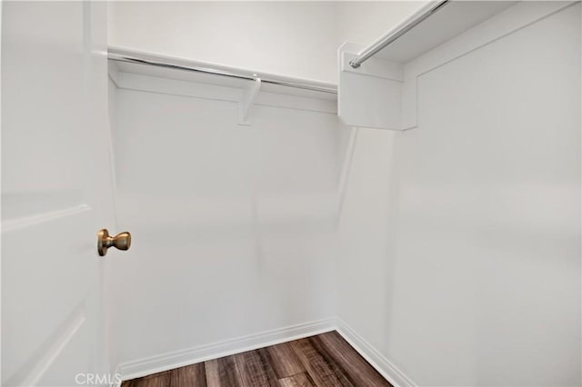 6991 Cottonwood Ln, Buena Park, CA 90621 - walk in closet with dark wood-style flooring