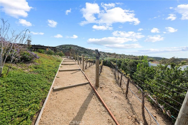 view of yard with a mountain view