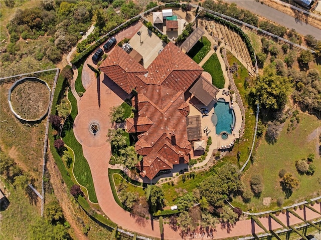 bird's eye view