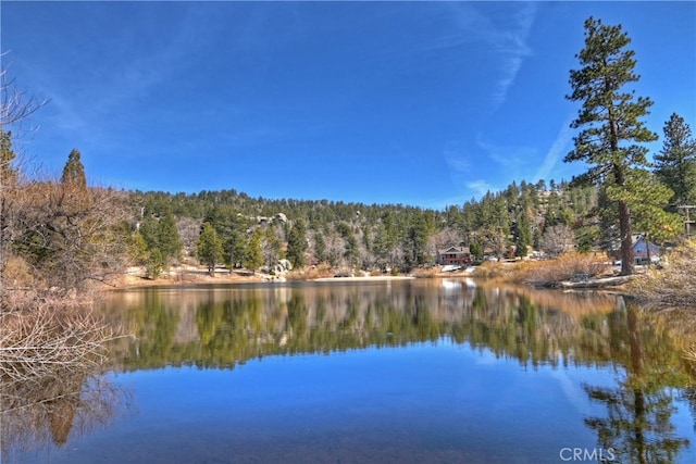 2424 Spruce Dr, Running Springs, CA 92382 - water view with a heavily wooded area