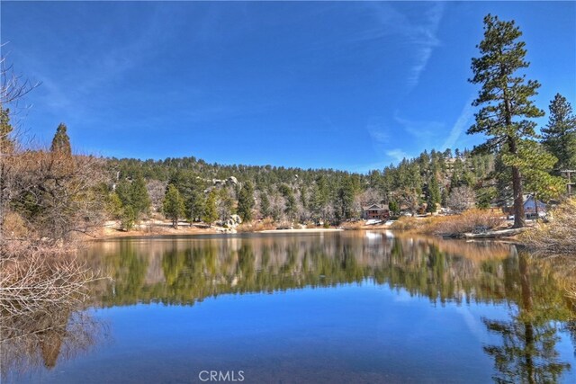 2424 Spruce Dr, Running Springs, CA 92382 - water view featuring a heavily wooded area