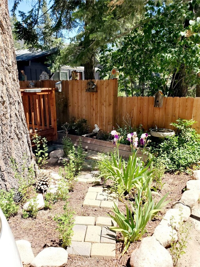 2424 Spruce Dr, Running Springs, CA 92382 - view of yard