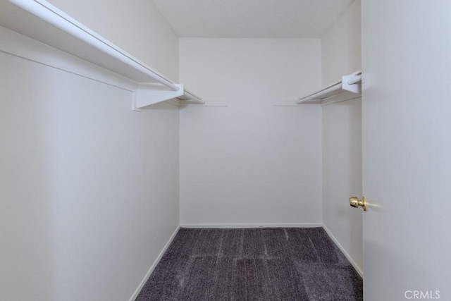 23222 Orange Ave Unit 4, Lake Forest, CA 92630 - walk in closet with carpet floors
