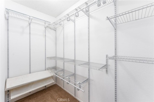 1076 N Ironwood Ave, Rialto, CA 92376 - walk in closet featuring carpet flooring