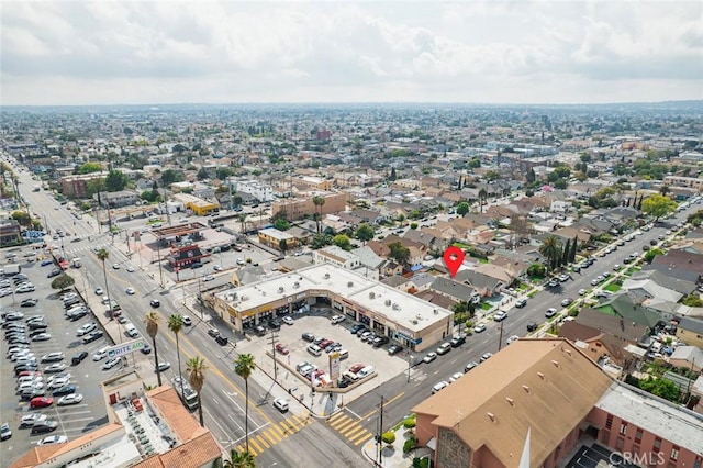 bird's eye view